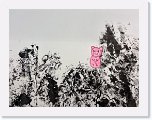 五德  盧芊妤 * 2016 x 1512 * (871KB)