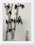 六仁 林嘉欣  * 2016 x 1512 * (511KB)